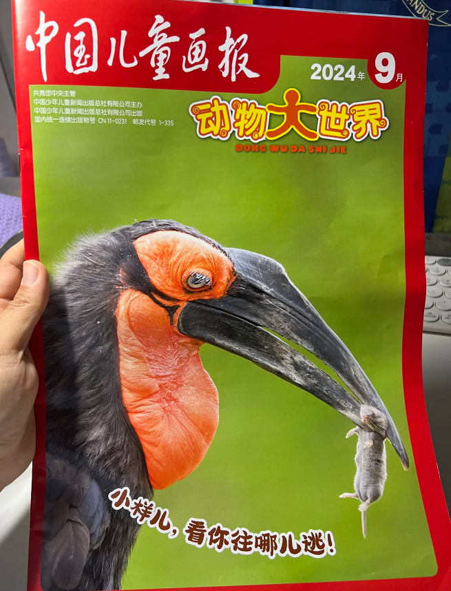 中国儿童画报