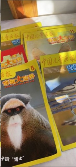 中国儿童画报