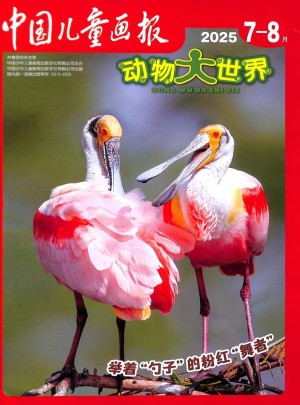 中国儿童画报订阅